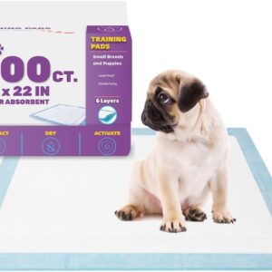 BV Puppy Pads Leak-Proof 100 Count 22"x 22" | Pee Pads for Dogs Quick Absorb 6-Layer- Dog Pee Pads- Dog Pads 100 Pack- Potty Pads for Dogs- Puppy Pee Pads, Pee Pad Training Pads...