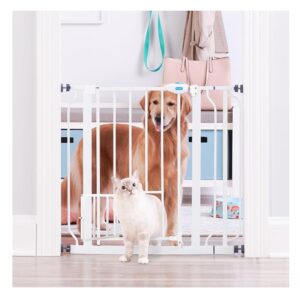 Carlson Extra Wide Walk Through Pet Gate with Small Pet Door, Includes 4-Inch Extension Kit, Pressure Mount Kit and Wall Mount Kit,White