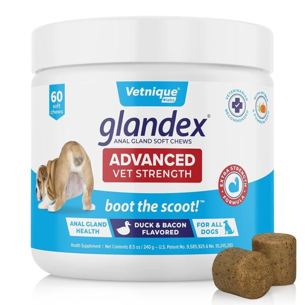 Glandex Anal Gland Soft Chew Treats with Pumpkin for Dogs Digestive Enzymes, Probiotics Fiber Supplement for Dogs Boot The Scoot (Advanced Strength Duck/Bacon Chews...